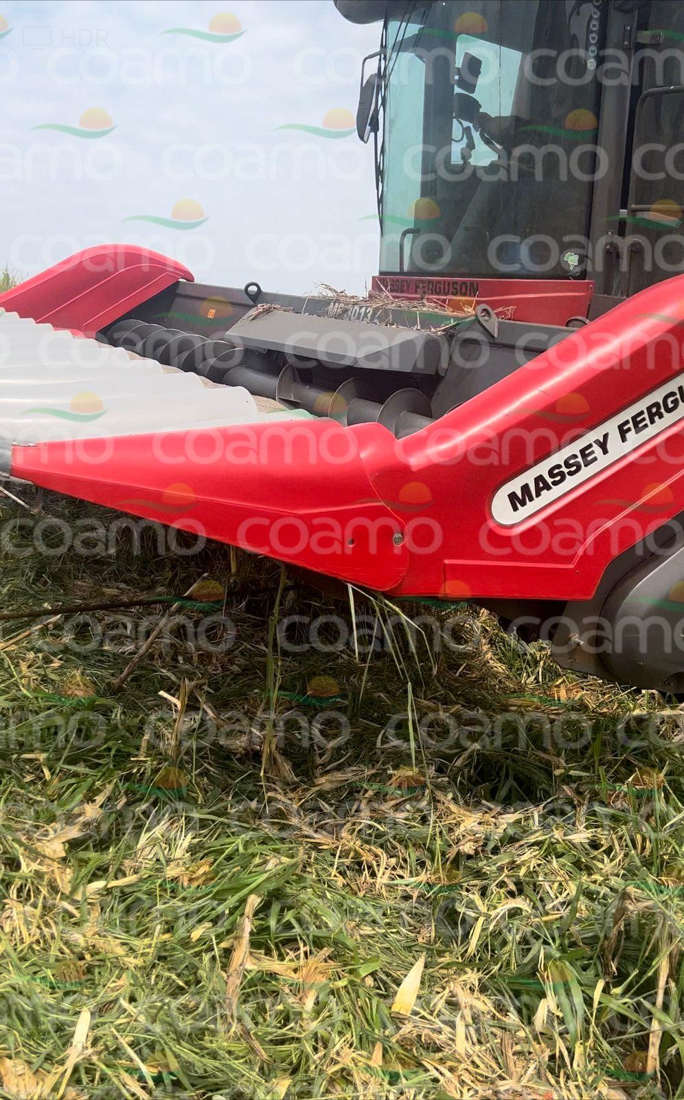 Foto 2 - Plataforma de Milho MASSEY FERGUSON MF 3013 ano 2021
