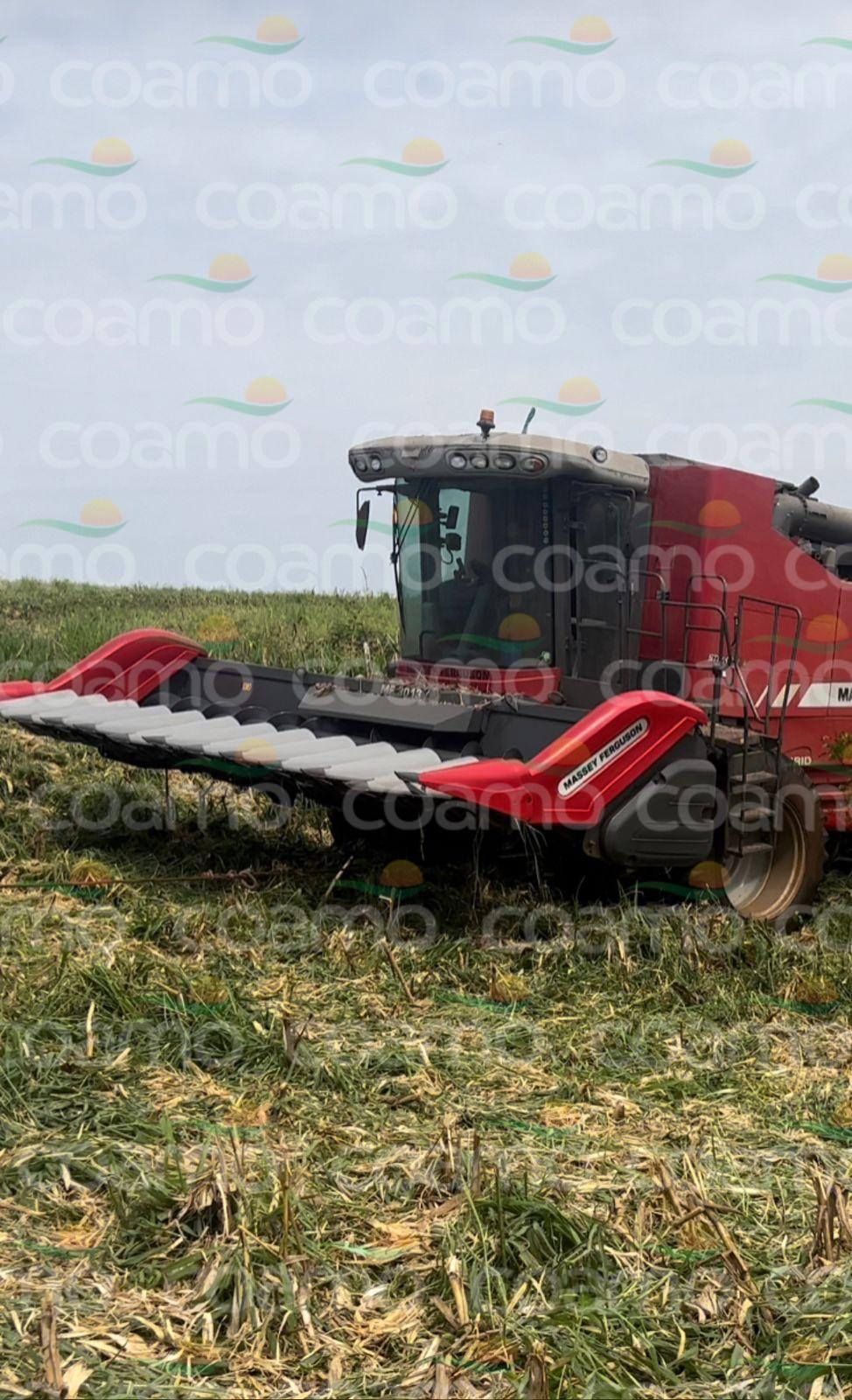Foto 3 - Plataforma de Milho MASSEY FERGUSON MF 3013 ano 2021
