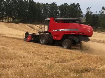 Foto - Colheitadeira Massey Ferguson 5690