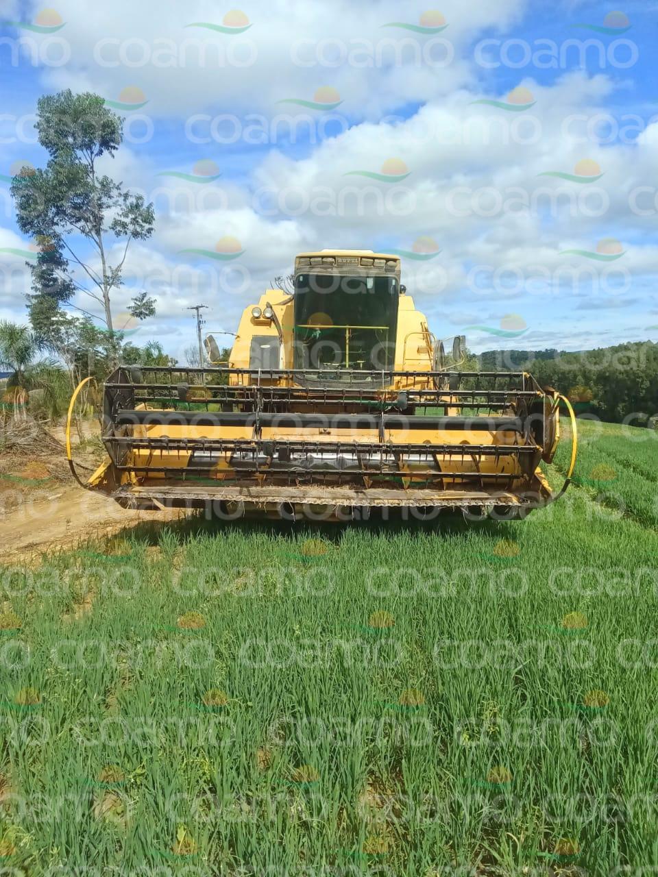 Foto 1 - Colheitadeira New Holland 8055 ano 1993