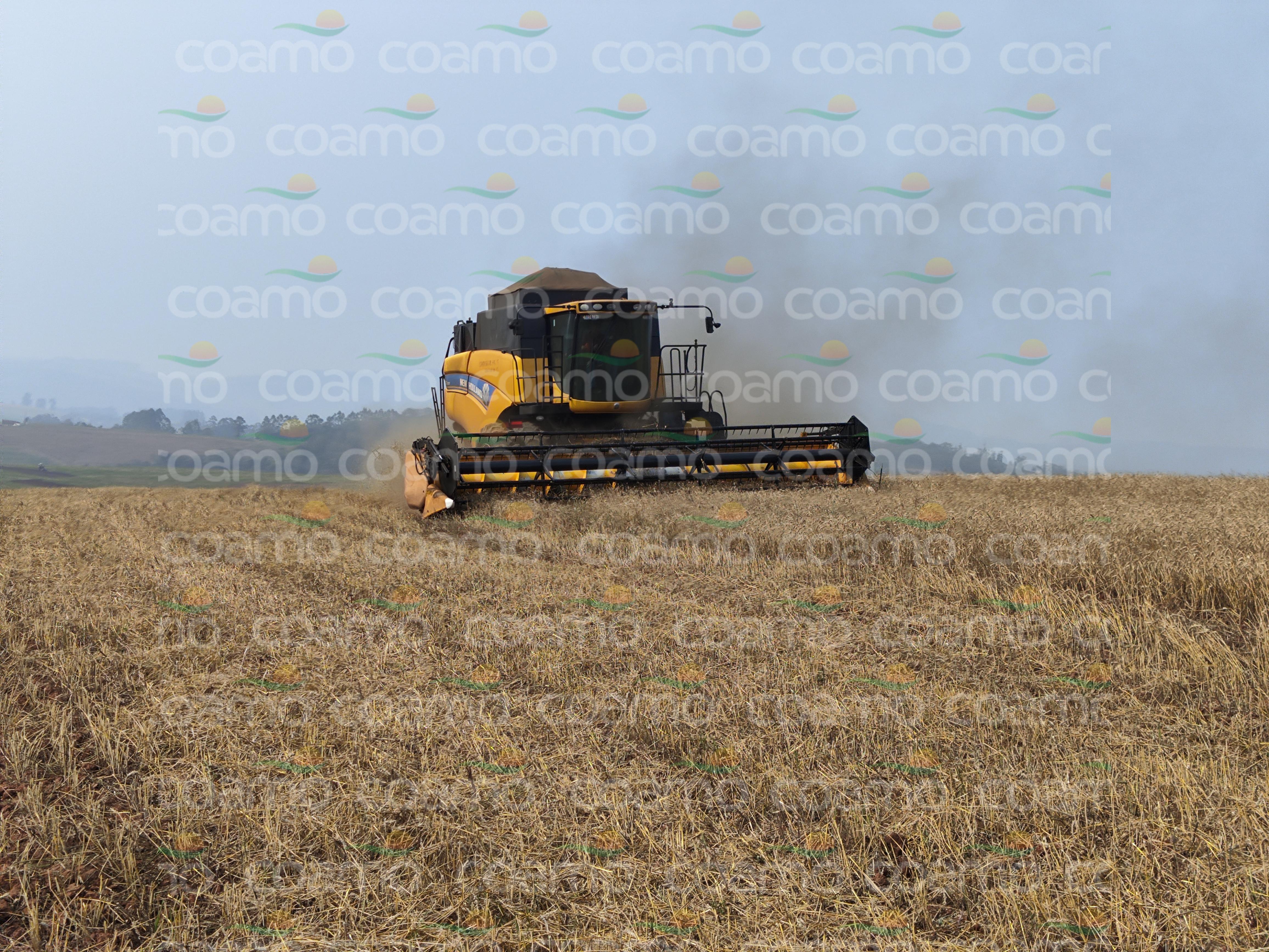 Foto 2 - Colheitadeira New Holland CR 5080 ano 2015