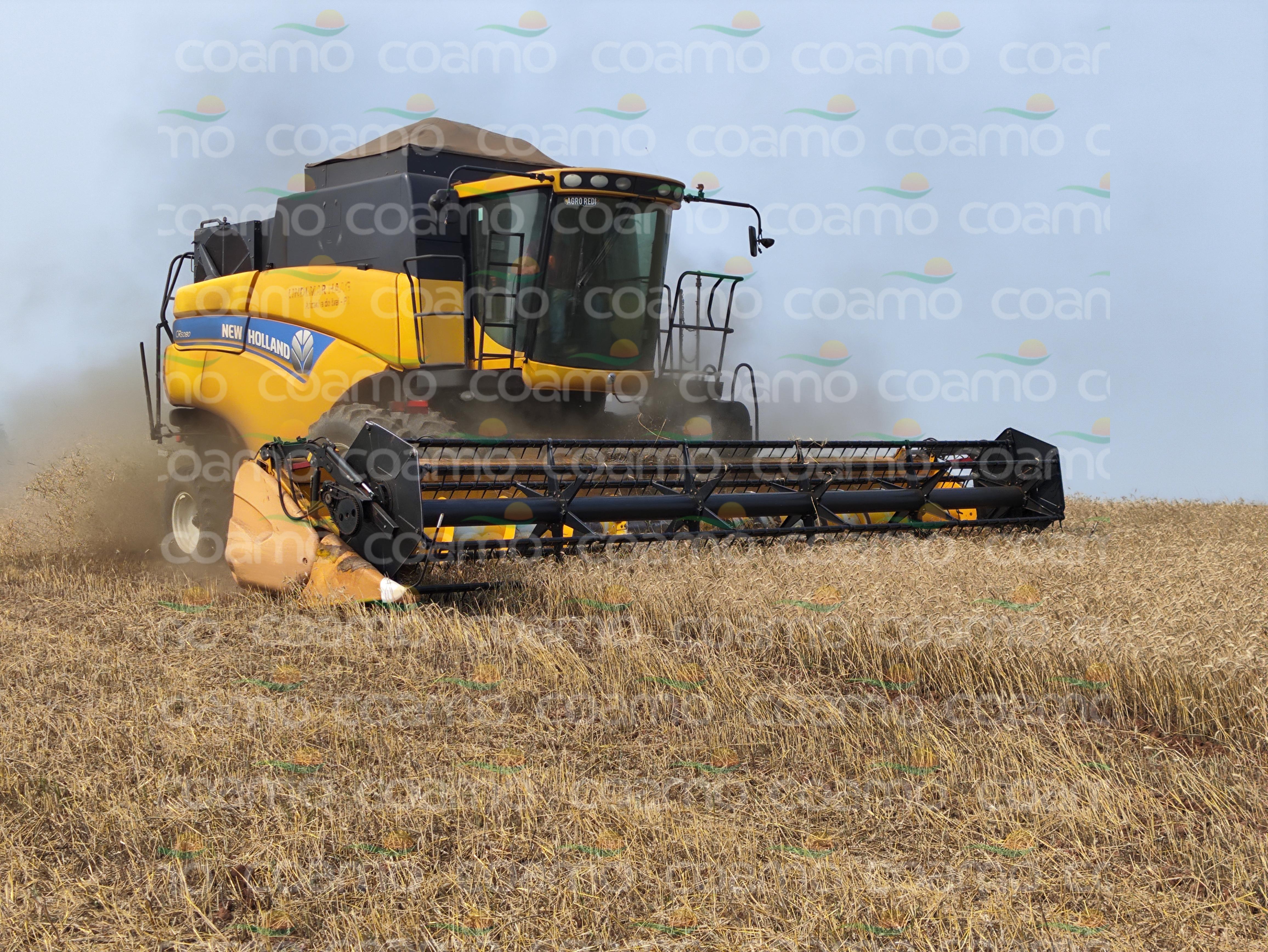Foto 1 - Colheitadeira New Holland CR 5080 ano 2015