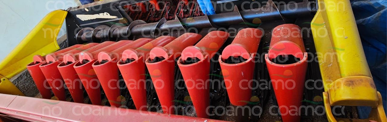 Foto 3 - Plataforma de Milho Vence Tudo Bocuda ano 2008