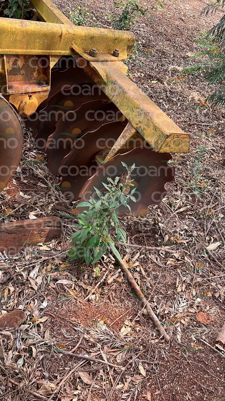 Foto 3 - Grade Aradora Tatu 18x28 ano 2005