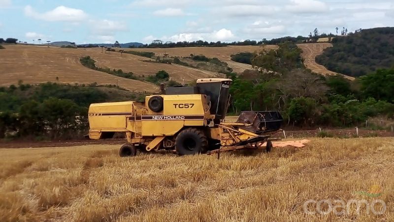Foto 3 - Colheitadeira New Holland TC 57 ano 1995