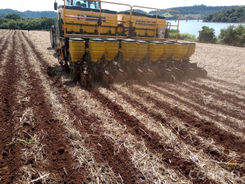 Foto 6 - Plantadeira Tatu PST 4 FLEX ano 2014