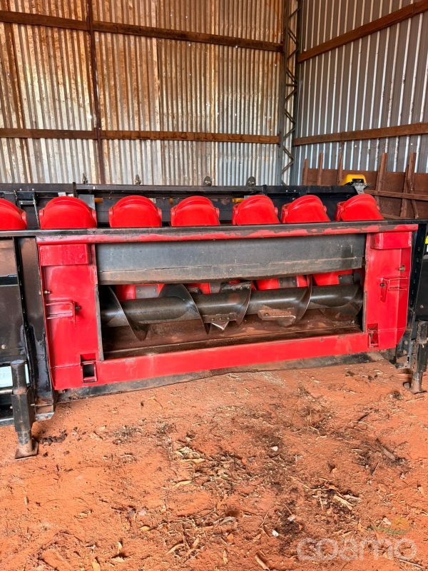 Foto 2 - Plataforma de Milho Vence Tudo Bocuda ano 2004