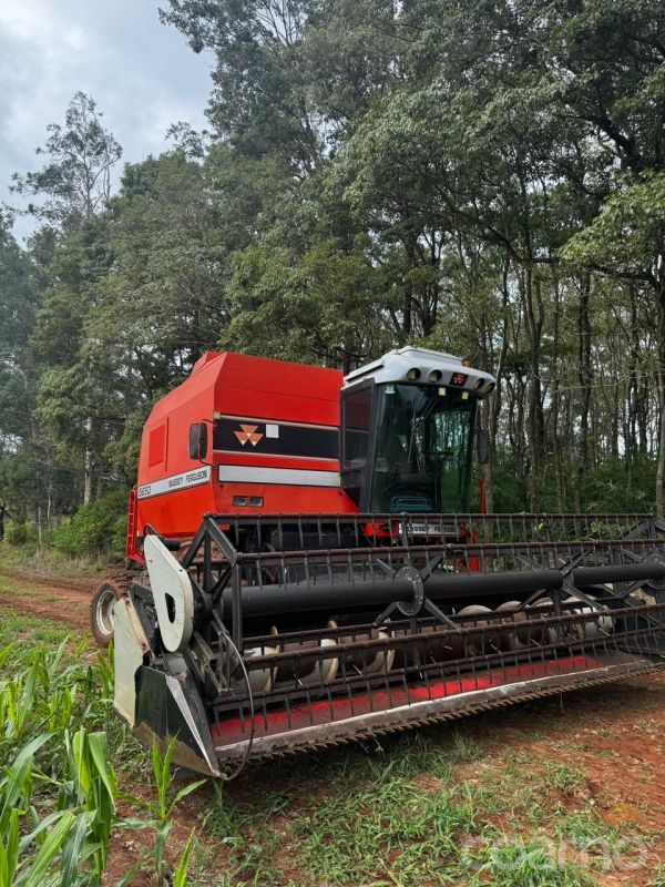 Foto 4 - Colheitadeira Massey Ferguson 5650 Advance ano 2003