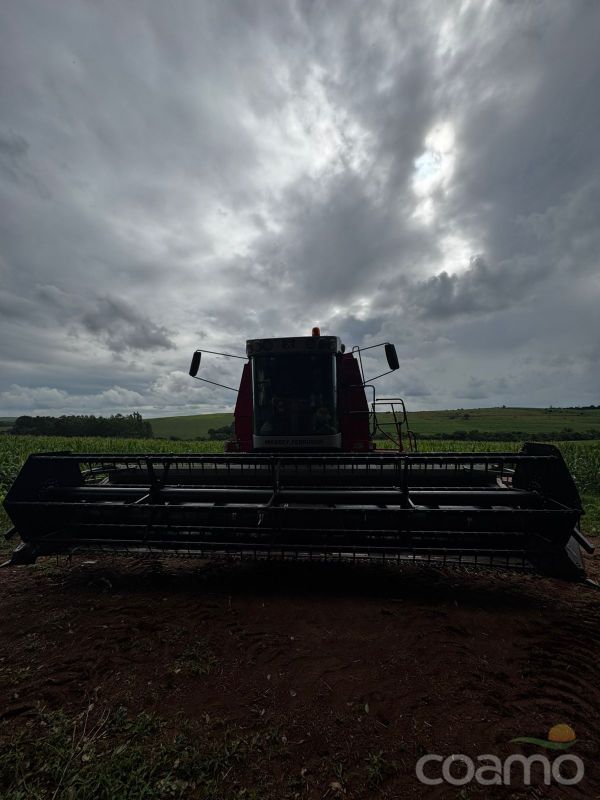 Foto 10 - Colheitadeira Massey Ferguson 32 ano 2017